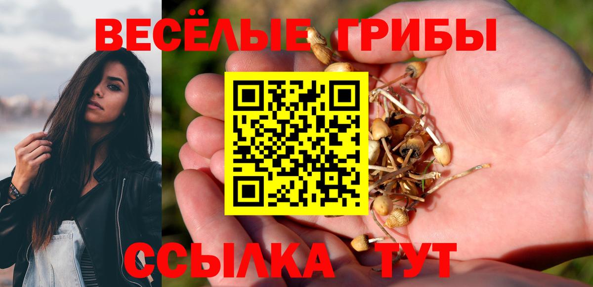 Псилоцибиновые грибы мухоморы Шадринск